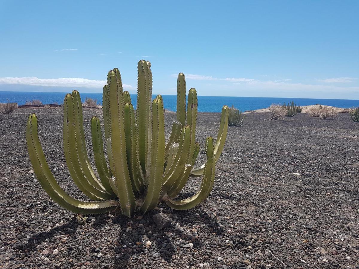 Tenerife Lizards - Duplex In The First Line Callao Salvaje Buitenkant foto