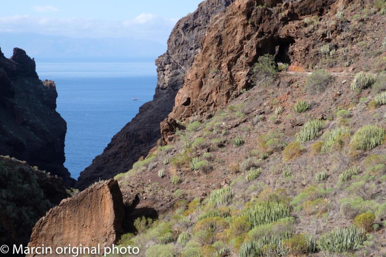 Tenerife Lizards - Duplex In The First Line Callao Salvaje Buitenkant foto